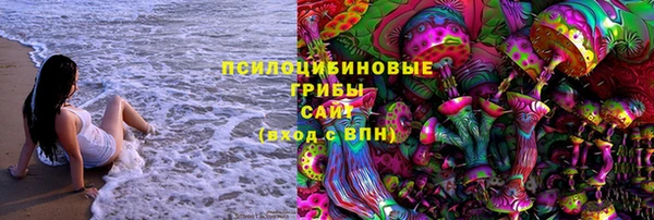 a pvp Богородицк